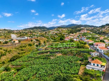 Terreno para Venda em Ponta do Sol