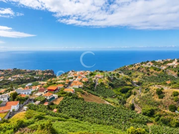 Terreno para Venda em Ponta do Sol