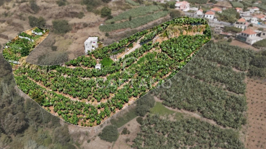 Terreno para Venda em Ponta do Sol