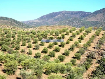 Terreno Agricola ou Rústico para Venda em Figueira de Castelo Rodrigo