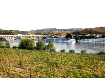 Terreno Agricola ou Rústico para Venda em Figueira de Castelo Rodrigo