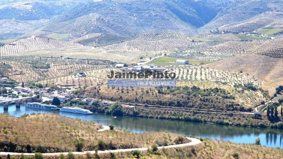 Terreno Agricola ou Rústico para Venda em Figueira de Castelo Rodrigo