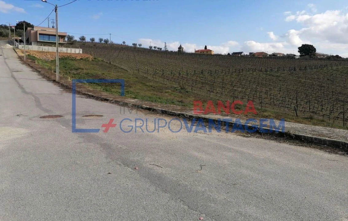 Terreno para Venda em Poiares e Canelas Foto 3