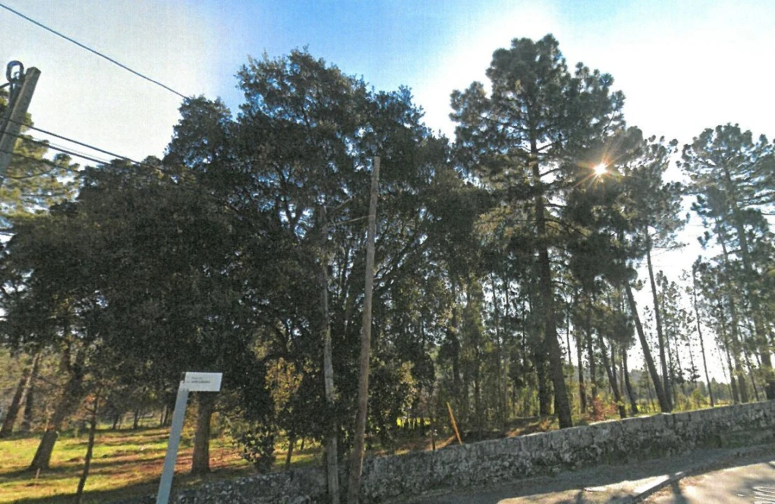 Terreno para Venda em Aguas Santas Foto 7