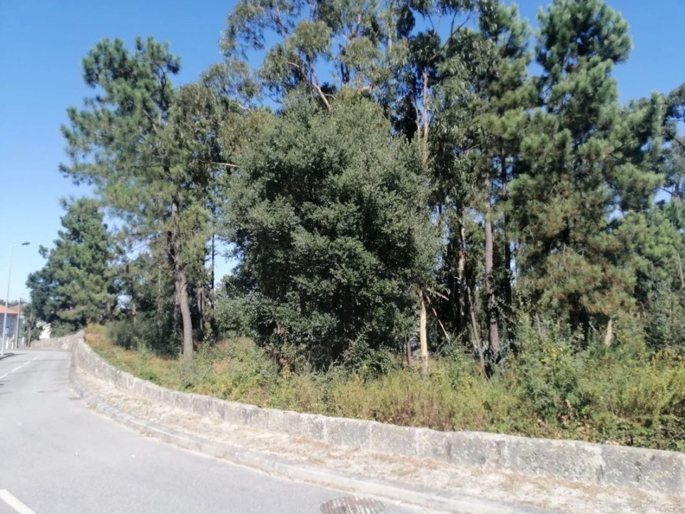 Terreno para Venda em Aguas Santas Foto 9