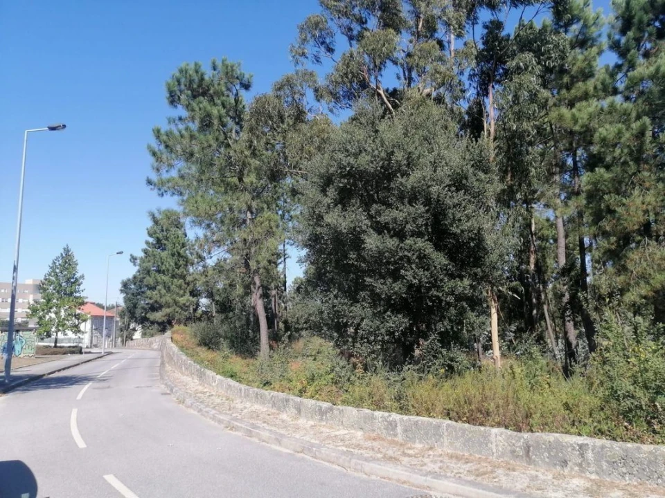 Terreno para Venda em Aguas Santas Foto 10