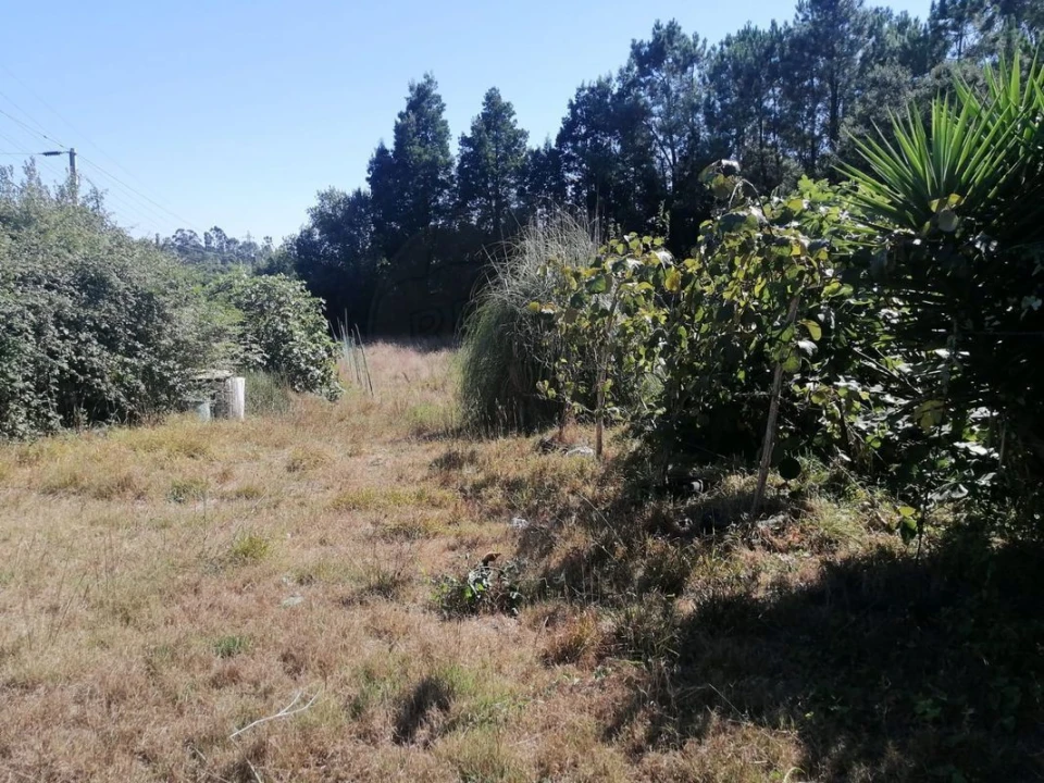 Terreno para Venda em Aguas Santas Foto 14