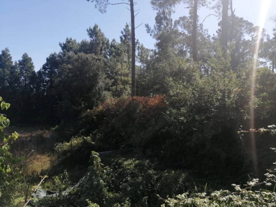 Terreno para Venda em Aguas Santas Foto 17