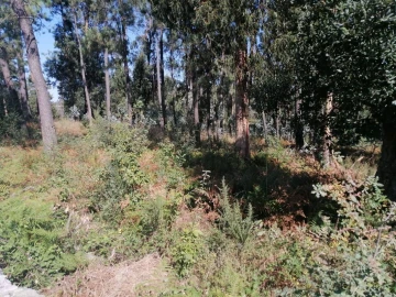 Terreno para Venda em Aguas Santas