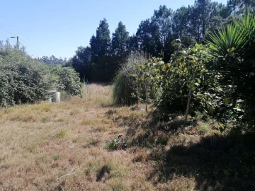 Terreno para Venda em Aguas Santas