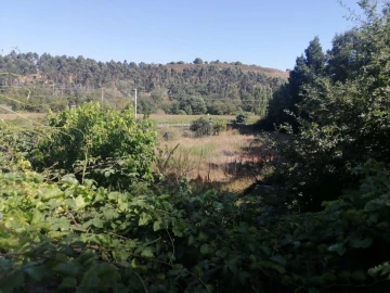 Terreno para Venda em Aguas Santas