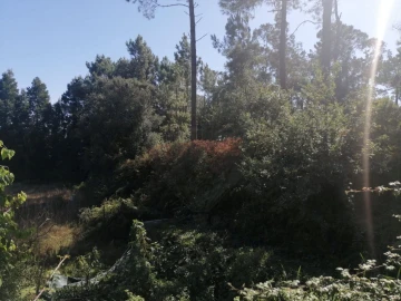 Terreno para Venda em Aguas Santas