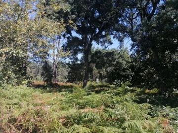 Terreno para Venda em Aguas Santas