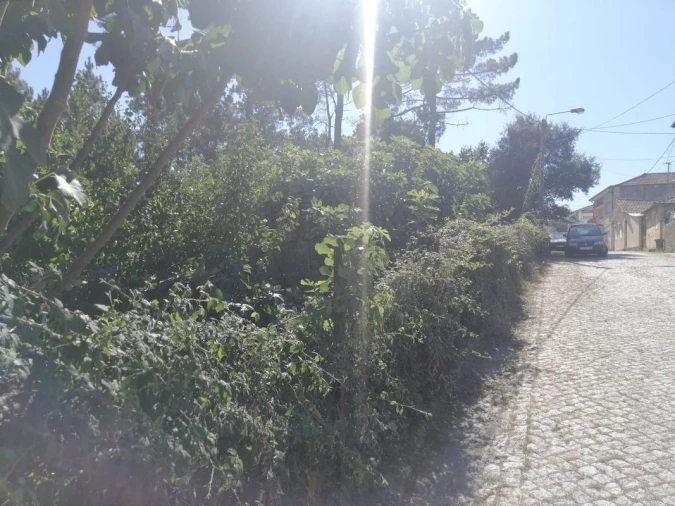 Terreno para Venda em Aguas Santas Foto 16
