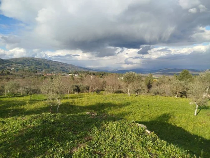 Quinta T4 para Venda em Teixoso e Sarzedo Foto 9