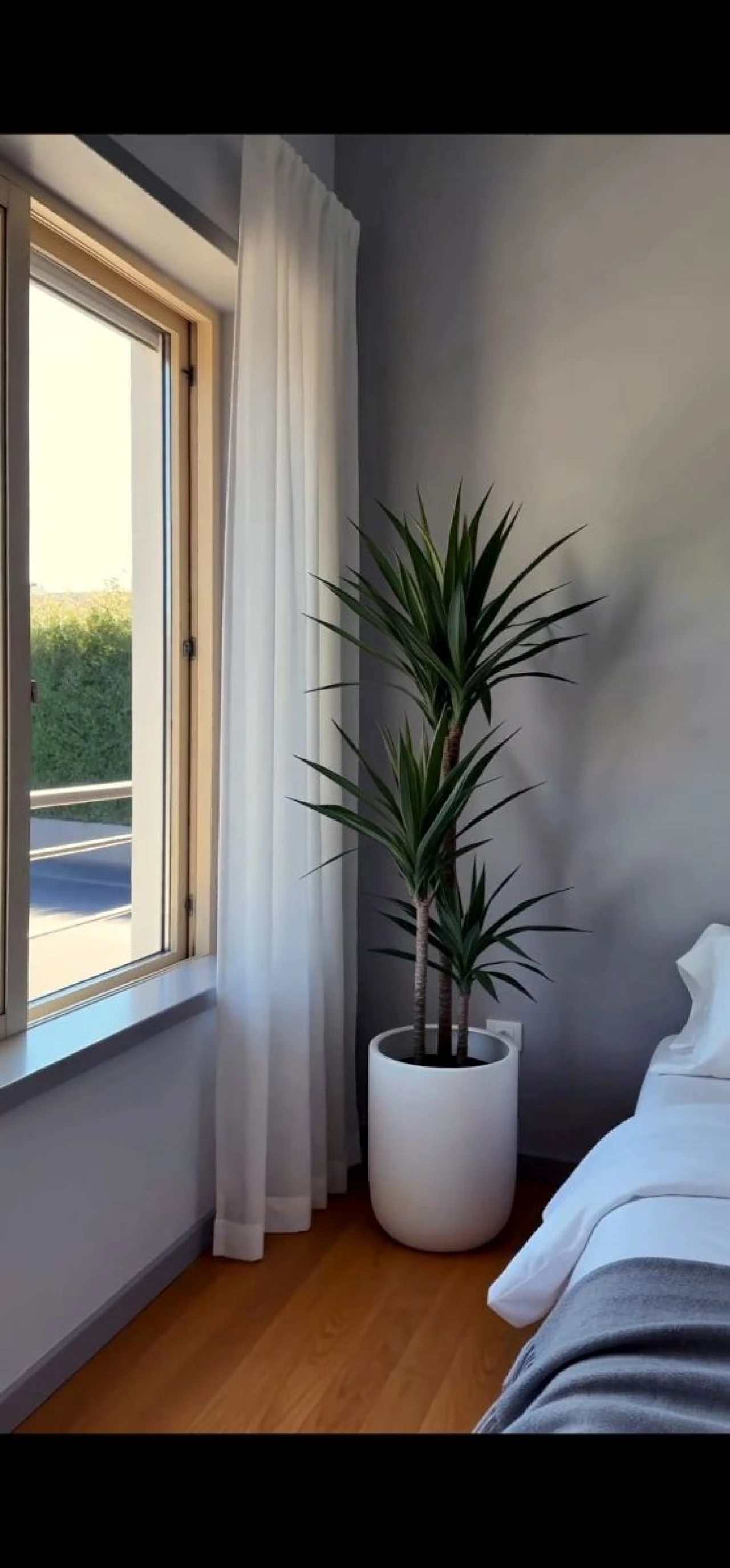 Apartamento T3 para Venda em Aguas Santas Foto 16
