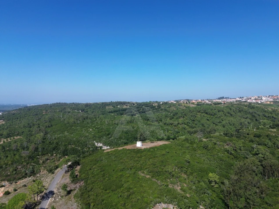 Moradia T1 para Venda em Roliça Foto 4
