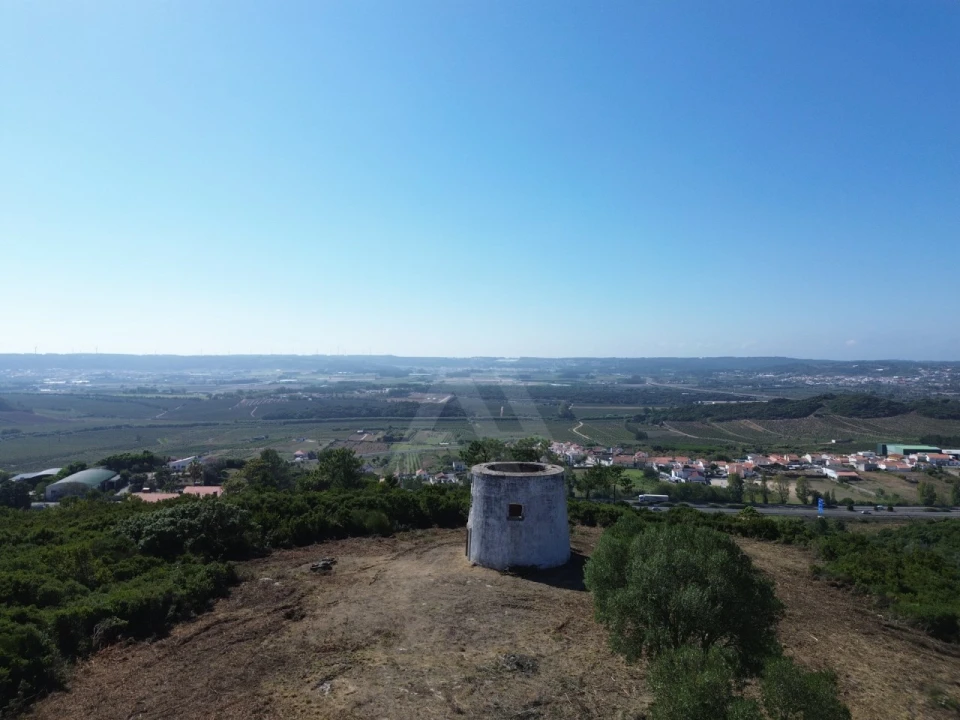 Moradia T1 para Venda em Roliça Foto 21