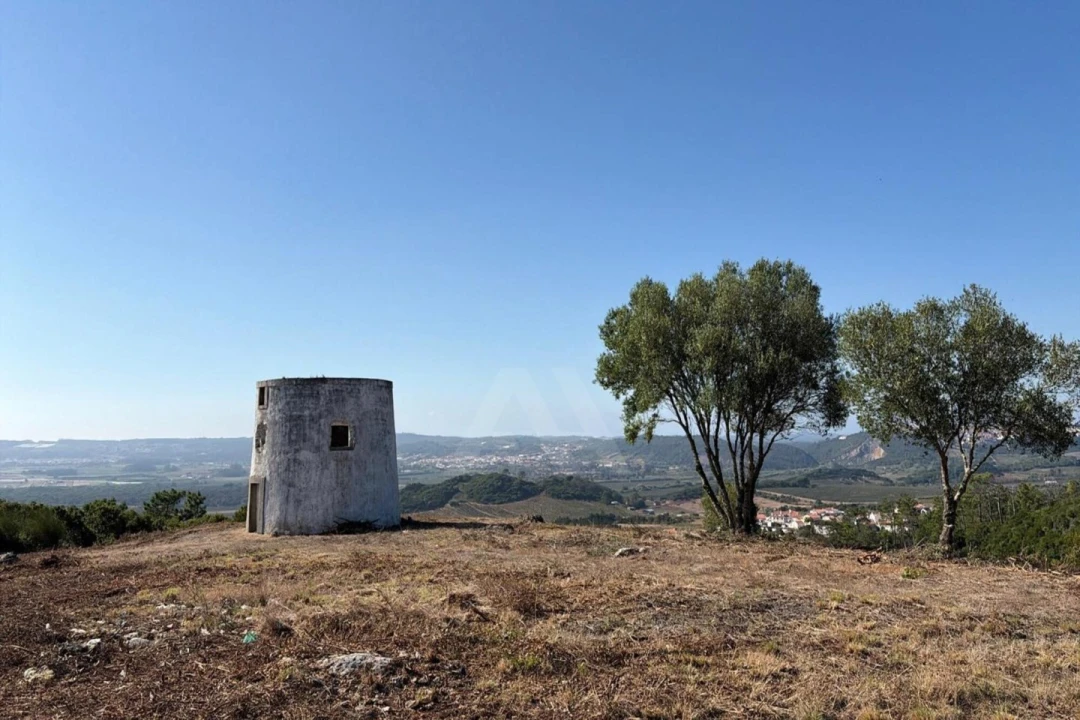 Moradia T1 para Venda em Roliça Foto 9