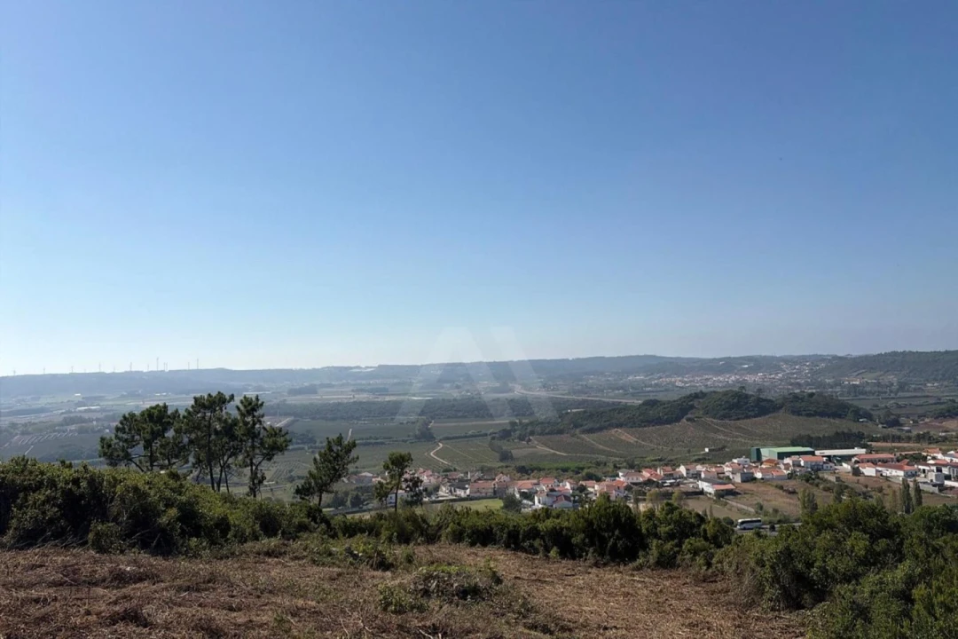 Moradia T1 para Venda em Roliça Foto 15