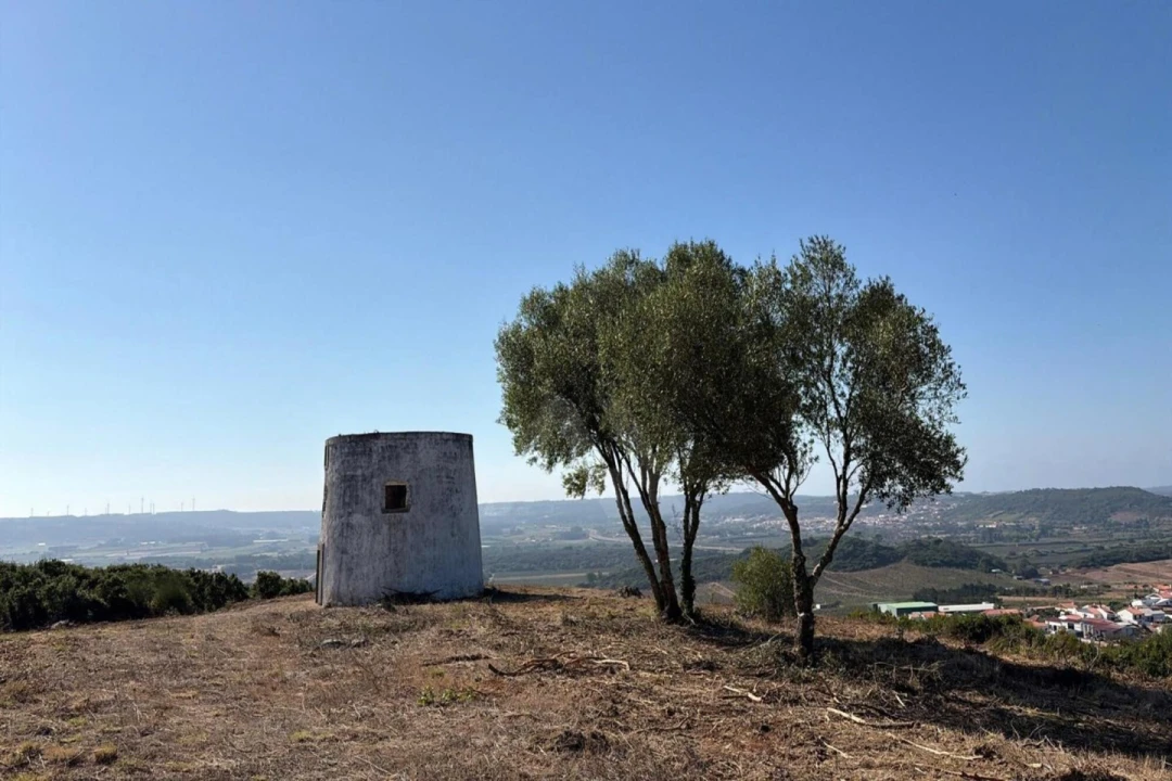 Moradia T1 para Venda em Roliça Foto 12