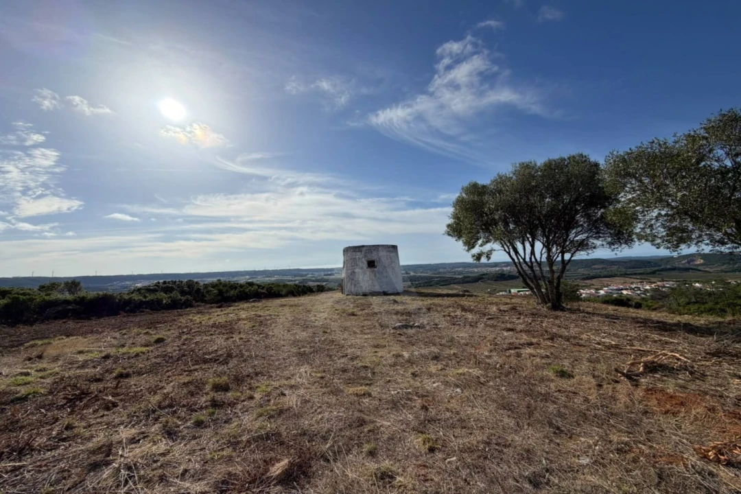 Moradia T1 para Venda em Roliça Foto 7