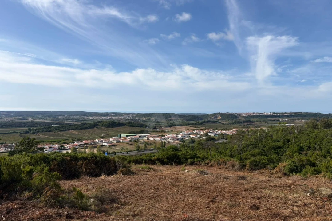 Moradia T1 para Venda em Roliça Foto 17