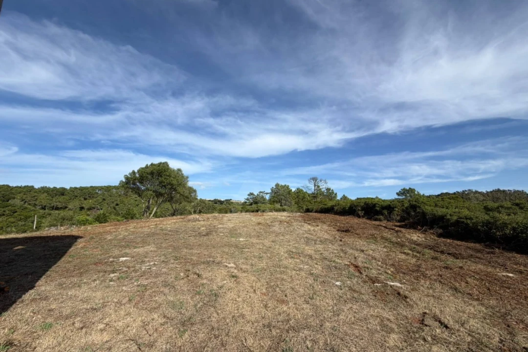 Moradia T1 para Venda em Roliça Foto 18