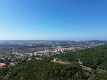 Moradia T1 para Venda em Roliça