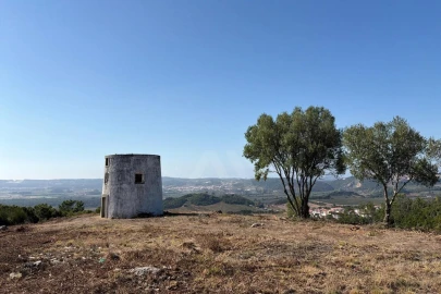 Moradia T1 para Venda em Roliça