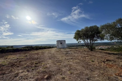 Moradia T1 para Venda em Roliça