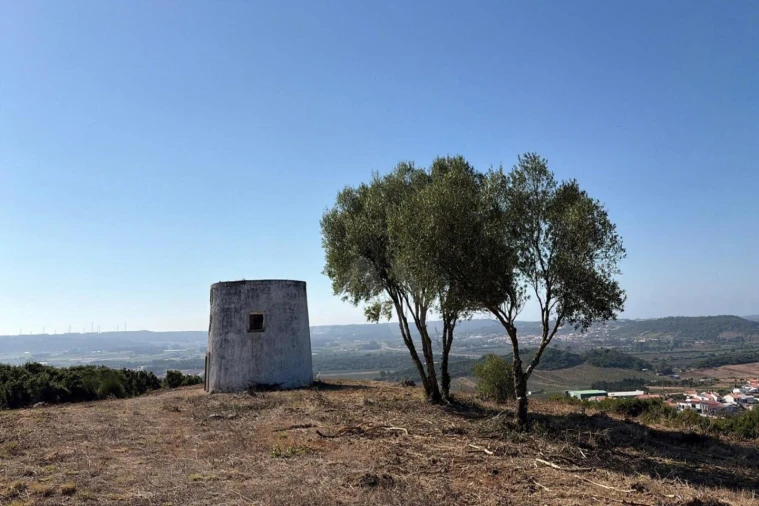 Moradia T1 para Venda em Roliça Foto 12
