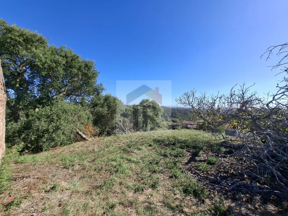Terreno para Venda em Salir de Matos Foto 24