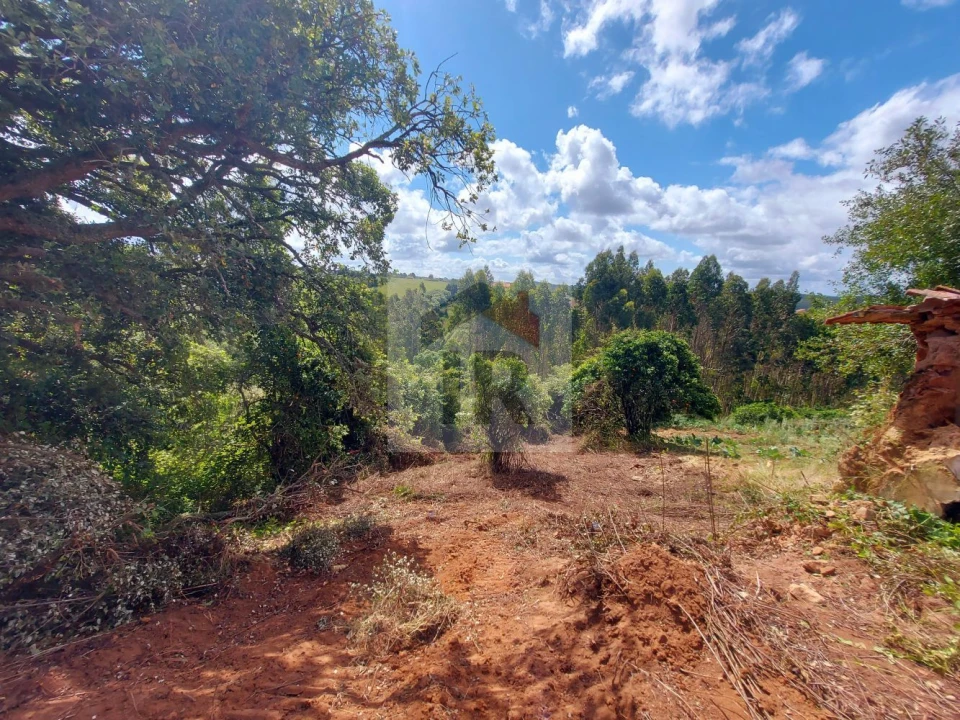 Terreno para Venda em Salir de Matos Foto 9