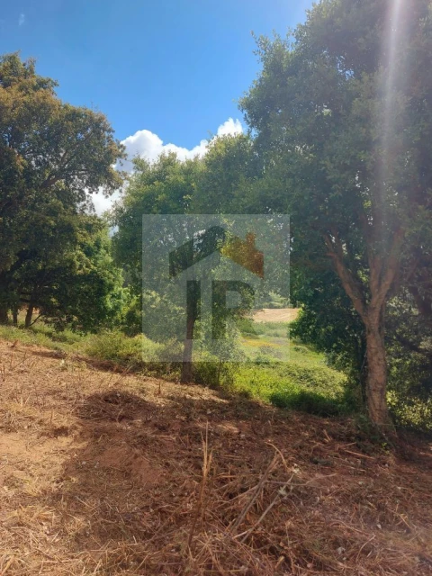 Terreno para Venda em Salir de Matos