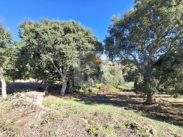 Terreno para Venda em Salir de Matos
