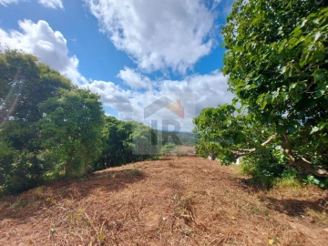 Terreno para Venda em Salir de Matos