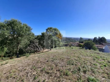 Terreno para Venda em Salir de Matos
