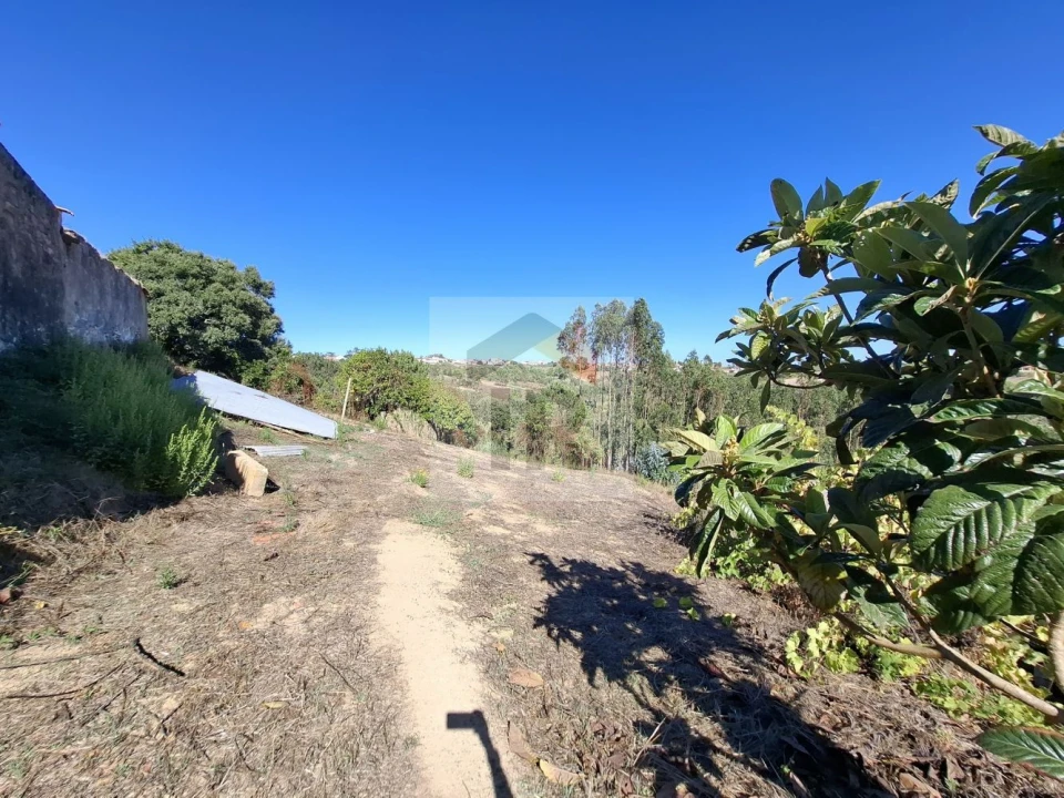 Terreno para Venda em Salir de Matos Foto 28