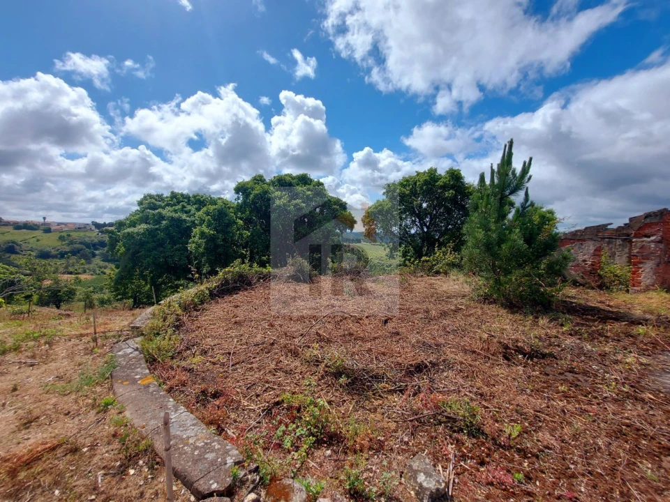 Terreno para Venda em Salir de Matos Foto 6