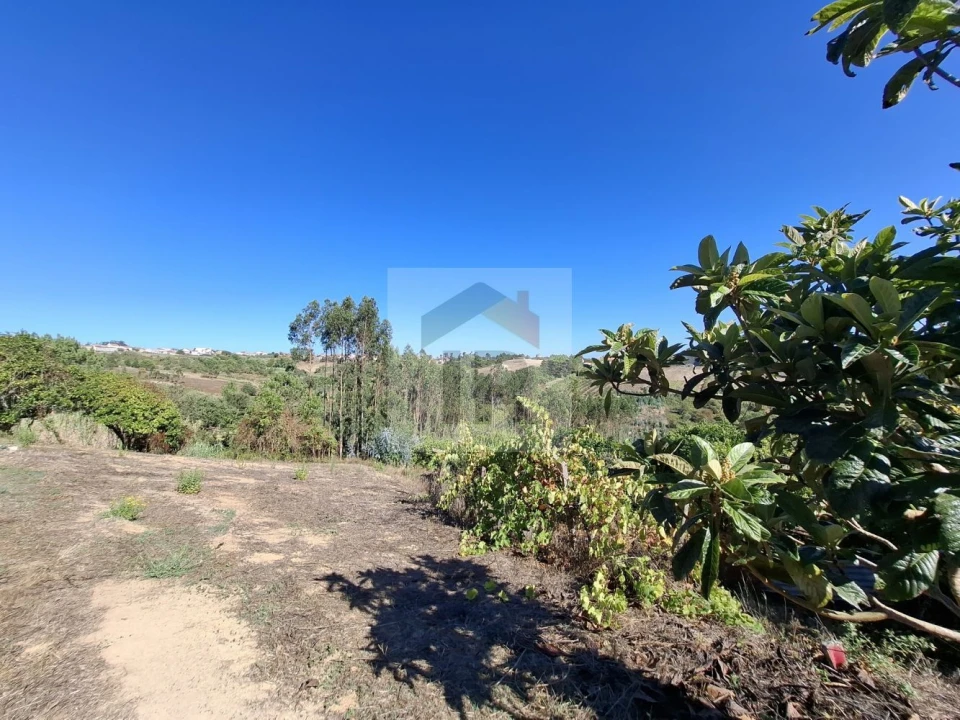 Terreno para Venda em Salir de Matos Foto 29