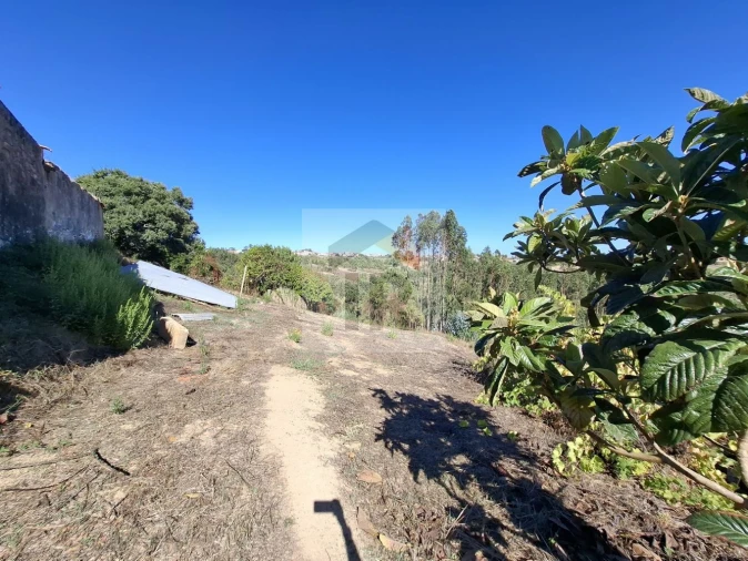 Terreno para Venda em Salir de Matos Foto 28
