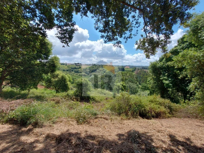 Terreno para Venda em Salir de Matos Foto 12