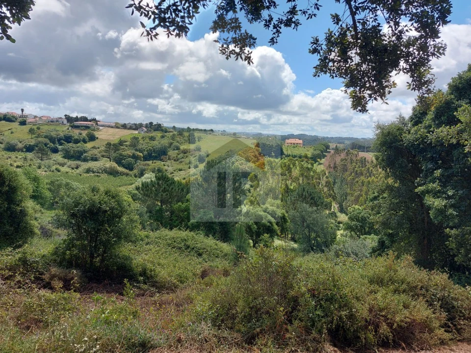 Terreno para Venda em Salir de Matos Foto 13