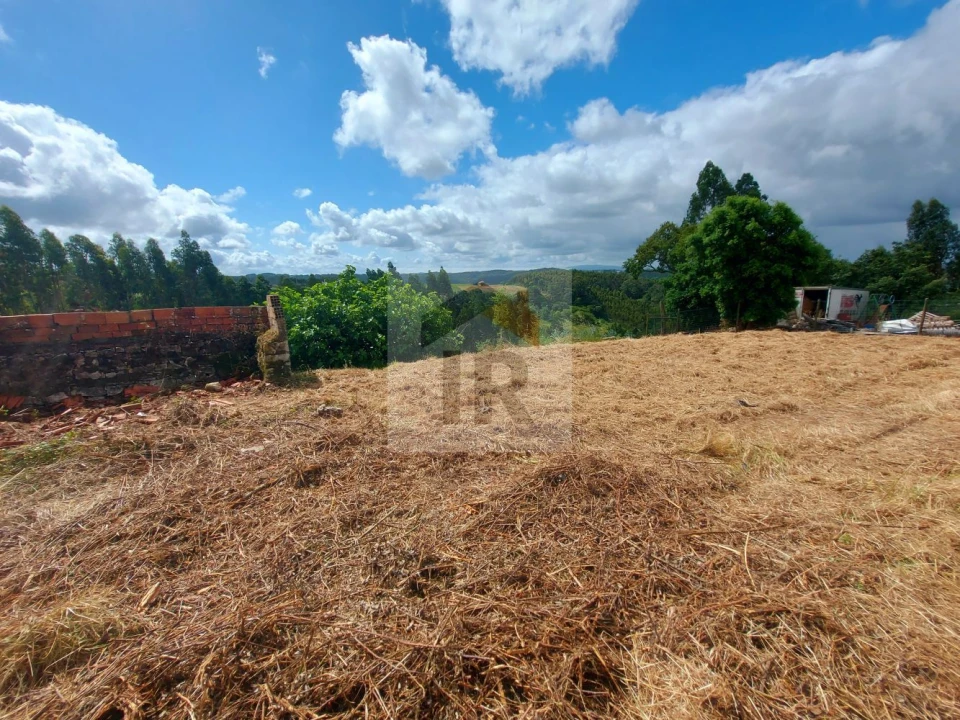 Terreno para Venda em Salir de Matos Foto 11