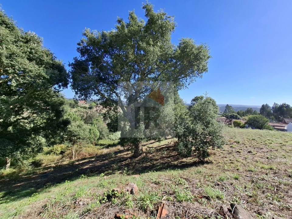 Terreno para Venda em Salir de Matos Foto 21