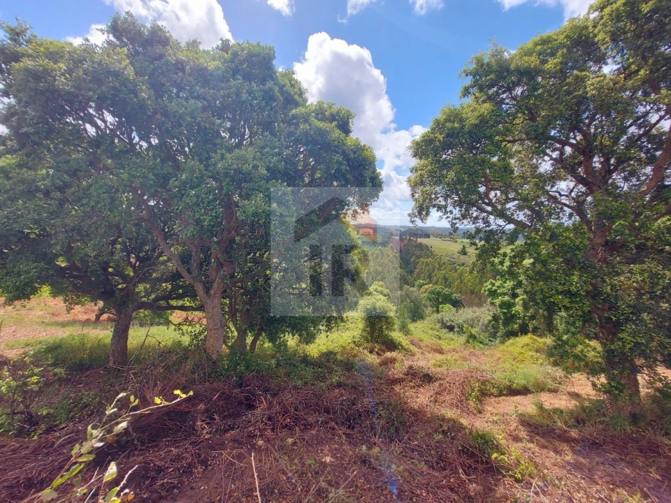 Terreno para Venda em Salir de Matos Foto 15