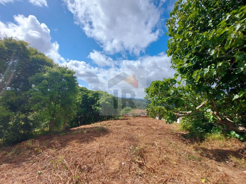 Terreno para Venda em Salir de Matos Foto 5