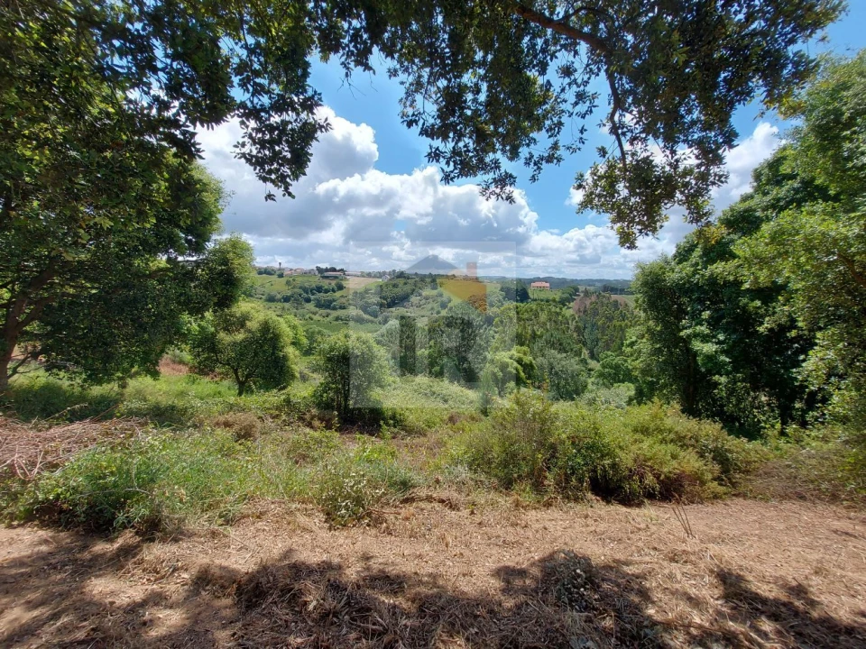 Terreno para Venda em Salir de Matos Foto 12
