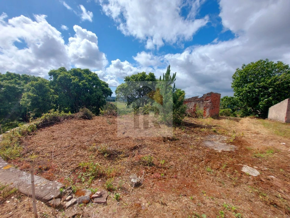 Terreno para Venda em Salir de Matos Foto 18